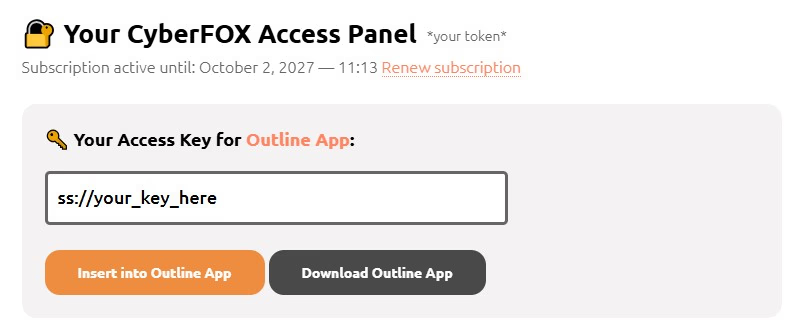 Your CyberFOX Access Panel